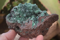 Natural Rare Ball Malachite On Drusy Quartz & Dolomite Specimens x 3 From Kambove, Congo