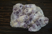 Natural Sugar Amethyst Quartz Cluster  x 1 From Zambia - Toprock Gemstones and Minerals 