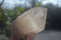 Polished Arcadian Quartz Crystals Points x 2 From Angola