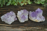 Natural Jacaranda Amethyst Clusters  x 3 From Mumbwa, Zambia - Toprock Gemstones and Minerals 