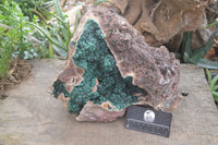 Natural XXL Rare Ball Malachite On Drusi Quartz & Dolomite Matrix  x 1 From Kambove, Congo - Toprock Gemstones and Minerals 