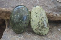 Polished Spotted Leopard Stone Free Forms  x 12 From Zimbabwe