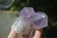 Natural Small Jacaranda Amethyst Specimens  x 12 From Mumbwa, Zambia - Toprock Gemstones and Minerals 