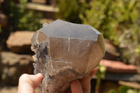 Natural Smokey Quartz Crystal With Polished Terminations  x 1 From Mt. Mulanje, Malawi - TopRock