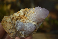 Natural Spirit Amethyst Quartz Clusters x 6 From Boekenhouthoek, South Africa