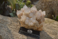 Natural Cascading Smokey Quartz Clusters x 2 From Luena, Congo