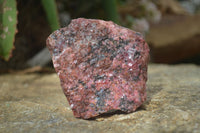 Natural Rough Red Rhodonite Specimens x 6 From Zimbabwe