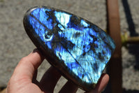 Polished Labradorite Standing Free Forms With Intense Blue Flash x 2 From Sakoany, Madagascar - TopRock