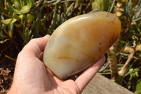 Polished Trio Of Dendritic Agate Standing Free Forms  x 3 From Moralambo, Madagascar - TopRock