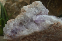 Natural Jacaranda Amethyst Cluster x 1 From Mumbwa, Zambia - TopRock