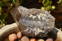 Natural Smokey Quartz Crystal With Polished Terminations  x 1 From Mt. Mulanje, Malawi - TopRock