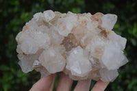 Natural White Spirit Cactus Quartz Clusters  x 2 From Boekenhouthoek, South Africa - Toprock Gemstones and Minerals 