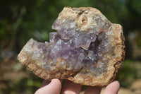 Natural Amethyst In Basalt Geode Specimens  x 6 From Zululand, South Africa - TopRock