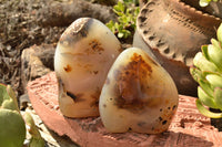 Polished Trio Of Dendritic Agate Standing Free Forms  x 3 From Moralambo, Madagascar - TopRock