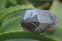 Natural Mixed Single Smokey Quartz Crystals  x 12 From Southern Africa - TopRock