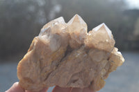 Natural Cascading Smokey Quartz Clusters x 2 From Luena, Congo