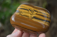 Polished Golden Tigers Eye Free Forms x 6 From Prieska, Northern Cape