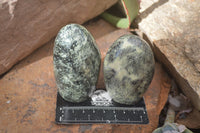 Polished Spotted Leopard Stone Standing Free Forms  x 6 From Zimbabwe