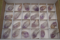 Natural Single Jacaranda Amethyst Crystals  x 24 From Mumbwa, Zambia - Toprock Gemstones and Minerals 