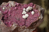 Natural Pink Salrose Cobaltion Dolomite Specimens x 6 From Kakanda, Congo