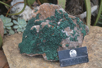 Natural Rare Ball Malachite On Drusy Quartz & Dolomite Matrix  x 1 From Kambove, Congo - Toprock Gemstones and Minerals 