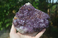 Natural Stunning Rare Deep Purple Spirit Amethyst Cluster  x 1 From Boekenhouthoek, South Africa - Toprock Gemstones and Minerals 