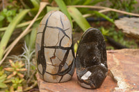 Polished Septaria (Calcite & Aragonite) Standing Free Forms  x 2 From Mahajanga, Madagascar - TopRock