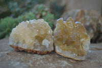 Natural Limonite Quartz Clusters x 12 From Solwezi, Zambia