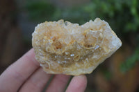 Natural Limonite Quartz Clusters x 12 From Solwezi, Zambia