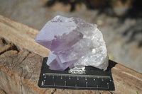 Natural Small Jacaranda Amethyst Specimens  x 12 From Mumbwa, Zambia - Toprock Gemstones and Minerals 