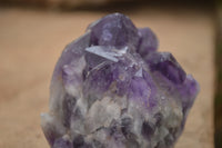 Natural Deep Jacaranda Amethyst Crystal Clusters  x 6 From Zambia - TopRock