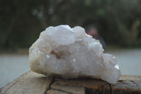 Natural White Spirit Cactus Quartz Clusters  x 2 From Boekenhouthoek, South Africa - Toprock Gemstones and Minerals 