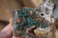 Natural Rare Ball Malachite On Drusy Quartz & Dolomite Specimens x 2 From Kambove, Congo