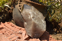 Natural Smokey Quartz Crystal With Polished Terminations  x 1 From Mt. Mulanje, Malawi - TopRock