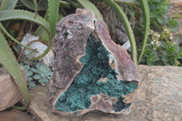 Natural XXL Rare Ball Malachite On Drusi Quartz & Dolomite Matrix  x 1 From Kambove, Congo - Toprock Gemstones and Minerals 