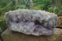 Natural Jacaranda Amethyst Cluster x 1 From Mumbwa, Zambia - TopRock