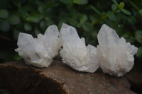 Natural Single Cascading Quartz Crystals  x 35 From Madagascar - Toprock Gemstones and Minerals 