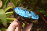 Polished Labradorite Standing Free Forms With Intense Blue & Gold Flash x 3 From Tulear, Madagascar - TopRock