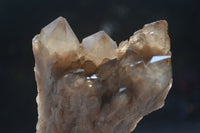 Natural Cascading White Phantom Smokey Quartz Clusters  x 2 From Luena, Congo - Toprock Gemstones and Minerals 