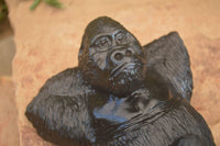 Polished  Black Serpentine Gorilla Carving x 1 From Zimbabwe