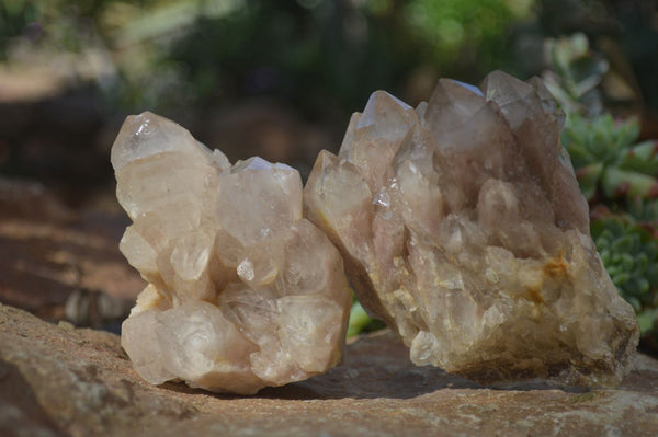 Natural Cascading Smokey Quartz Clusters x 3 From Luena, Congo