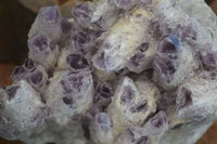 Natural Sugar Amethyst Quartz Cluster  x 1 From Zambia - Toprock Gemstones and Minerals 