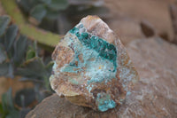 Natural Dioptase In Matrix Specimens  x 12 From Grootfontein, Namibia