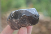 Natural Mixed Single Smokey Quartz Crystals  x 12 From Southern Africa - TopRock