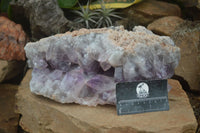 Natural Jacaranda Amethyst Cluster x 1 From Mumbwa, Zambia - TopRock