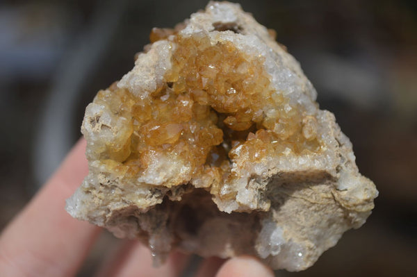 Natural Golden Limonite / Lemonite Quartz Clusters  x 24 From Zambia - Toprock Gemstones and Minerals 