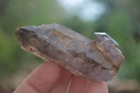 Natural Mixed Single Smokey Quartz Crystals  x 12 From Southern Africa - TopRock