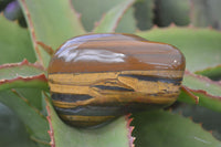 Polished Golden Tigers Eye Free Forms x 6 From Prieska, Northern Cape