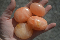 Polished Orange Twist Calcite Palm Stones  x 12 From Madagascar - Toprock Gemstones and Minerals 