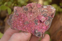 Natural Pink Salrose Cobaltion Dolomite Specimens x 6 From Kakanda, Congo